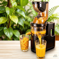 Multi-Purpose Juicer for Fresh Fruits & Veggies | Hard/Soft Produce, Family-Friendly